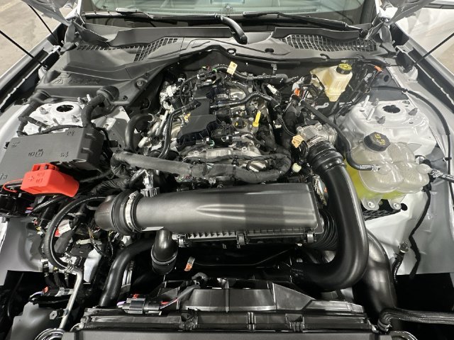New 2026 Oxford White Ford EcoBoost® Fastback image 22