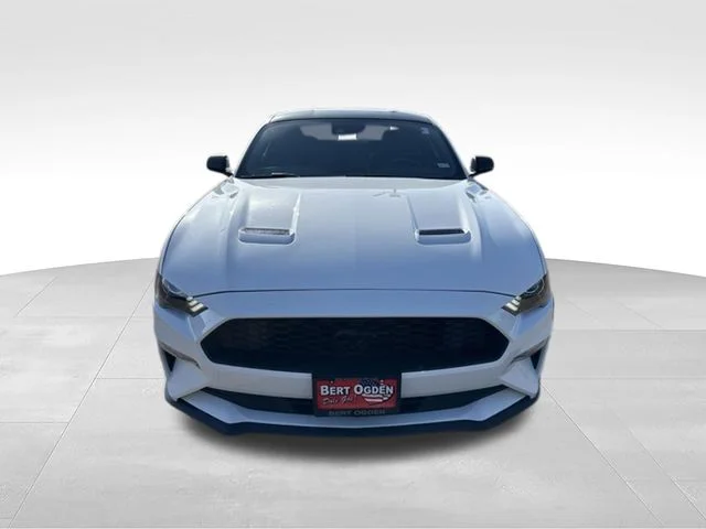 Used 2023 White Ford EcoBoost image 2