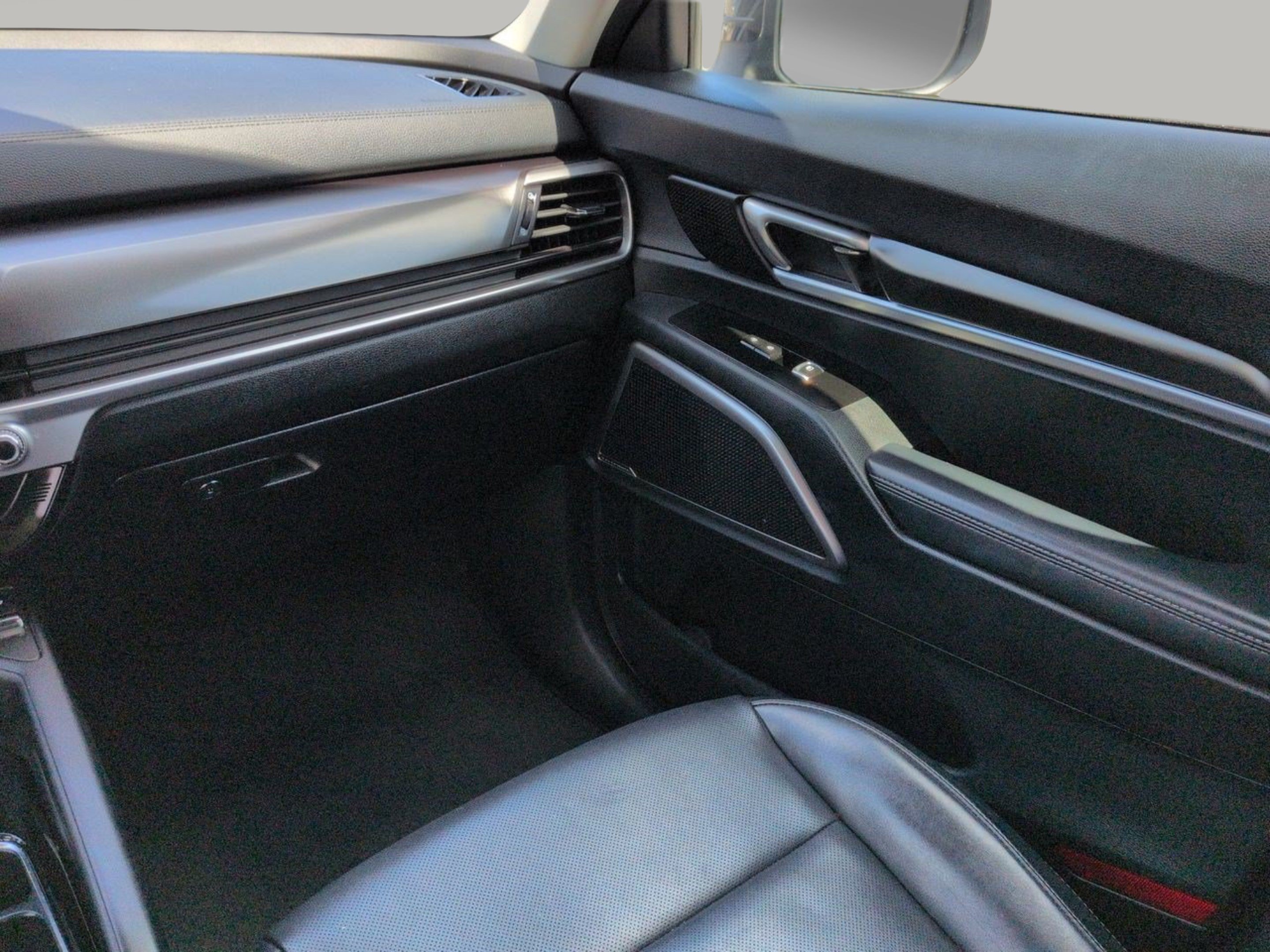 Used 2025 Panthera Metal Kia S image 21