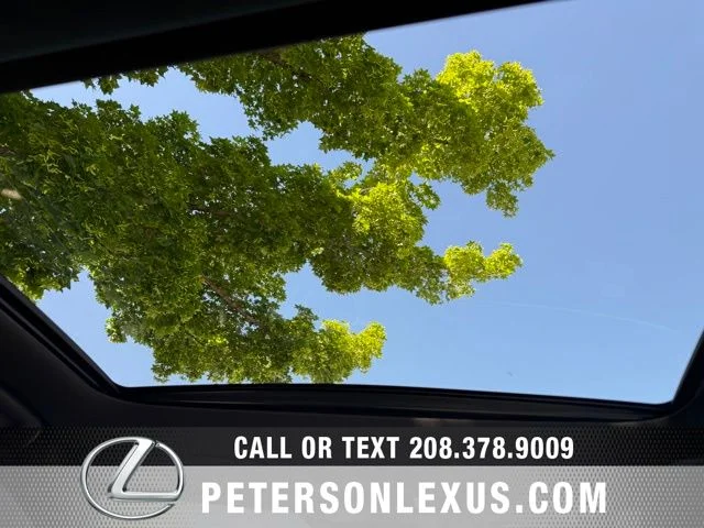New 2026 Gray Lexus  image 13