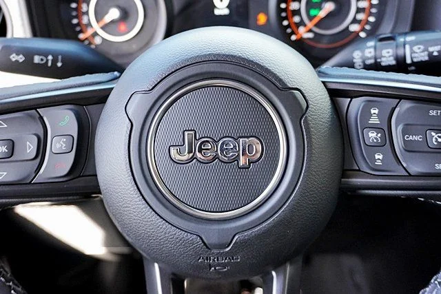New 2026 Black Clear-Coat Exterior Paint Jeep Willys image 40