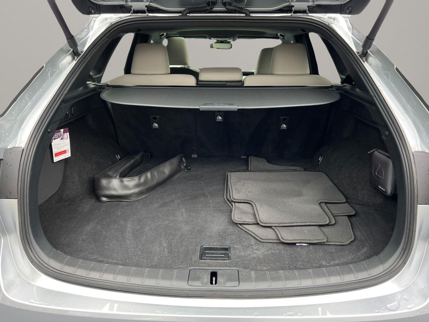 2023 Lexus RX 350 - Photo 19