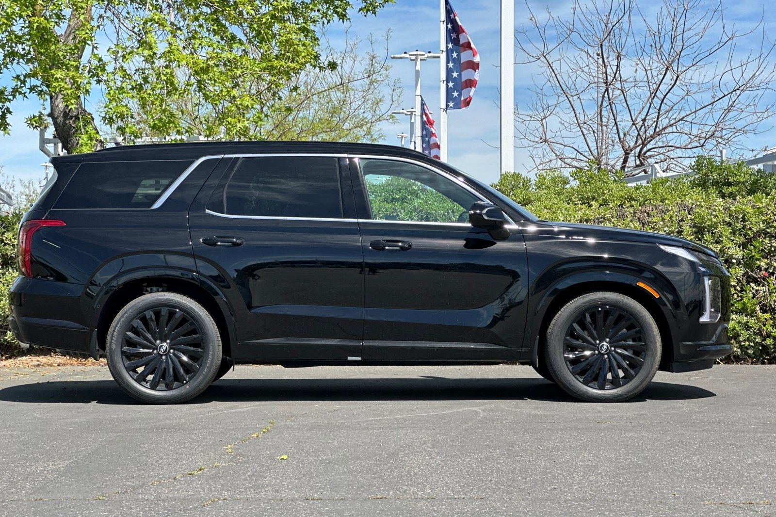 2025 Hyundai Palisade Calligraphy Night Edition - Photo 29