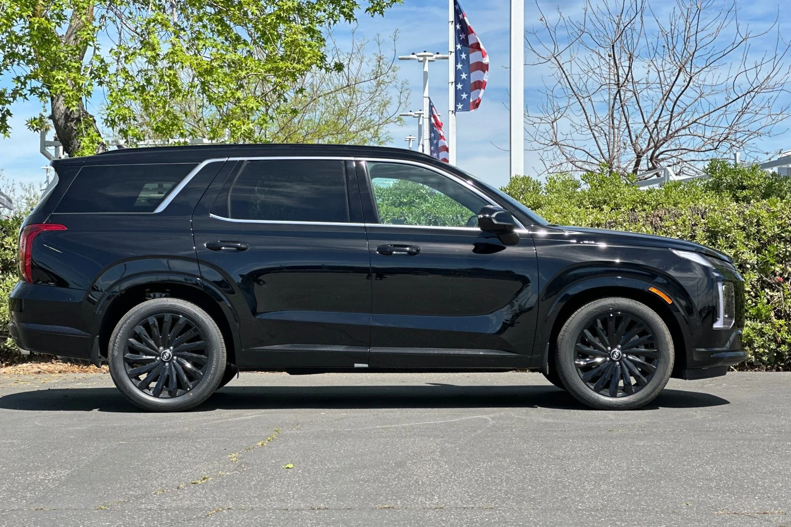 2025 Hyundai Palisade Calligraphy Night Edition - Photo 29