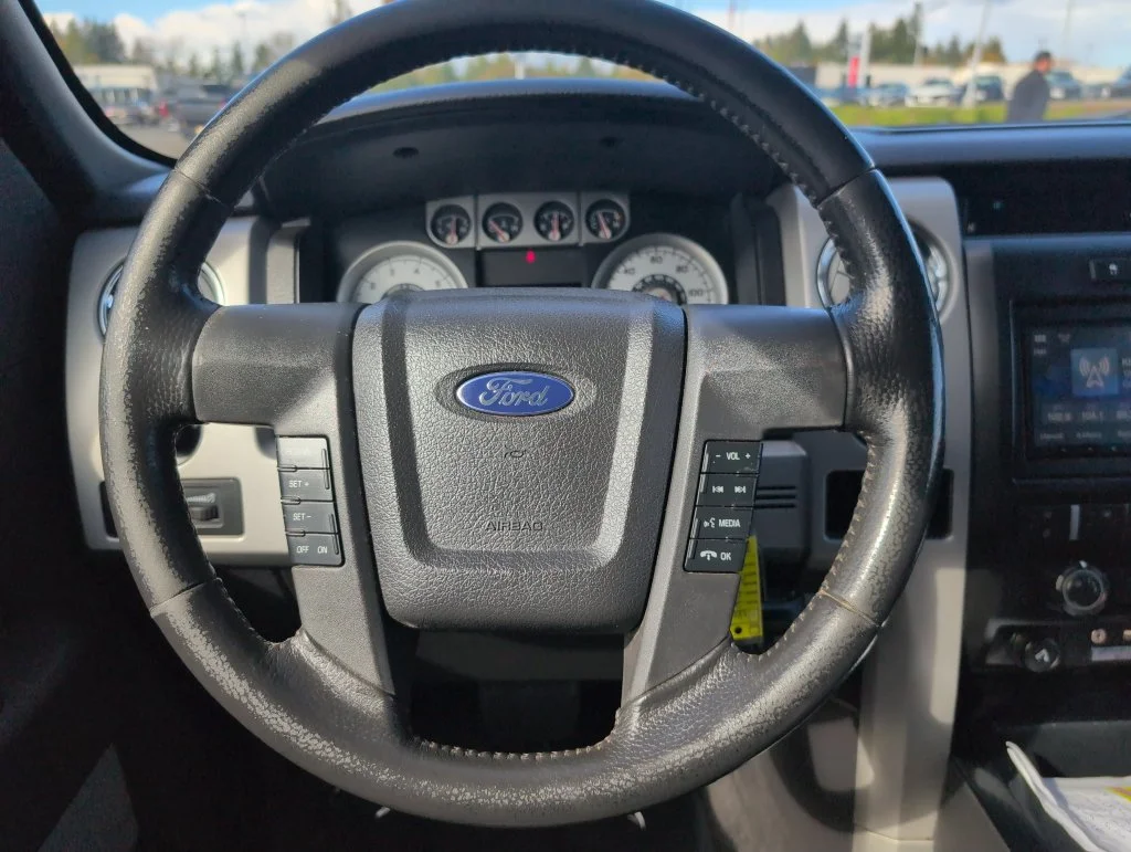 Used 2010 Silver Ford FX4 image 19