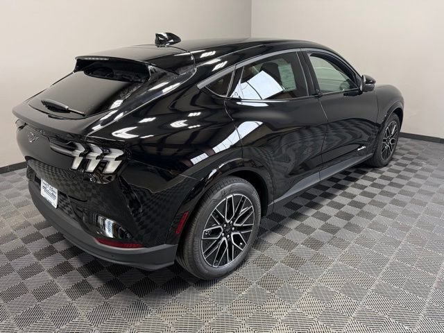 New 2026 Shadow Black Ford Premium image 8