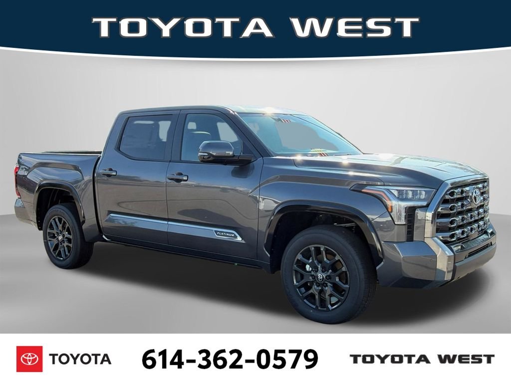 New 2026 Magnetic Gray Metallic Toyota Platinum image 4