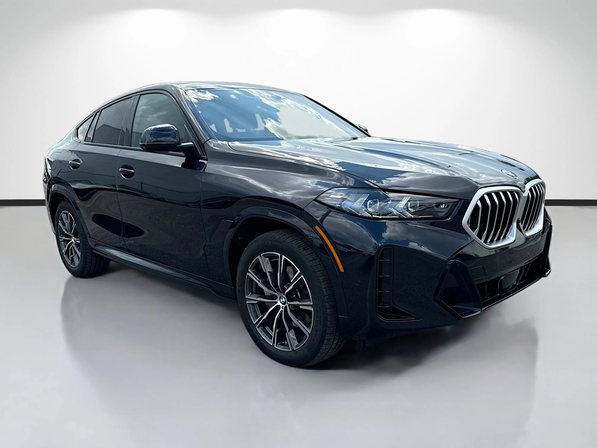 2026 BMW X6