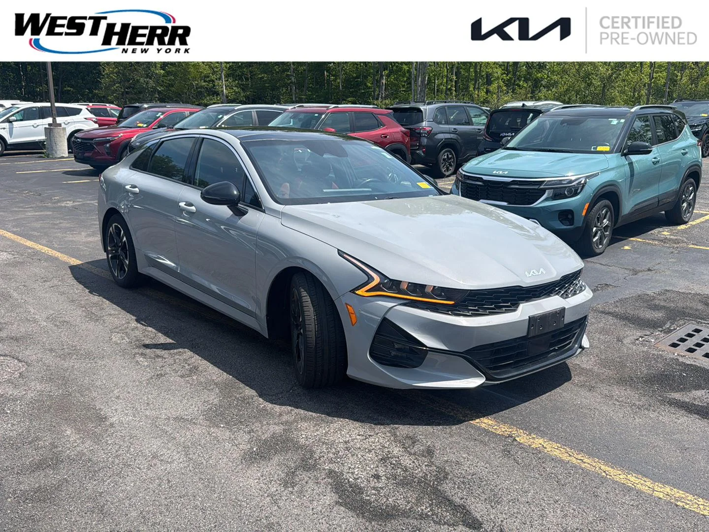 Used 2023 Wolf Gray Kia GT-Line image 1
