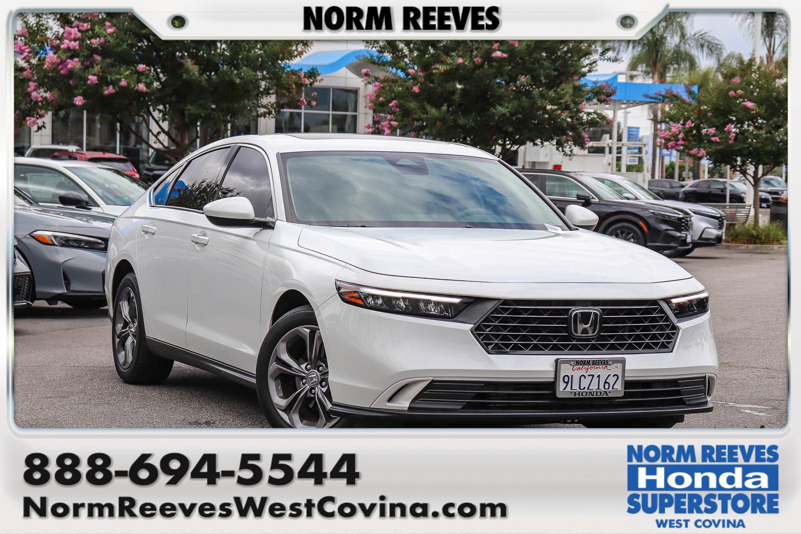 2024 Honda Accord 1.5T EX CVT's photo
