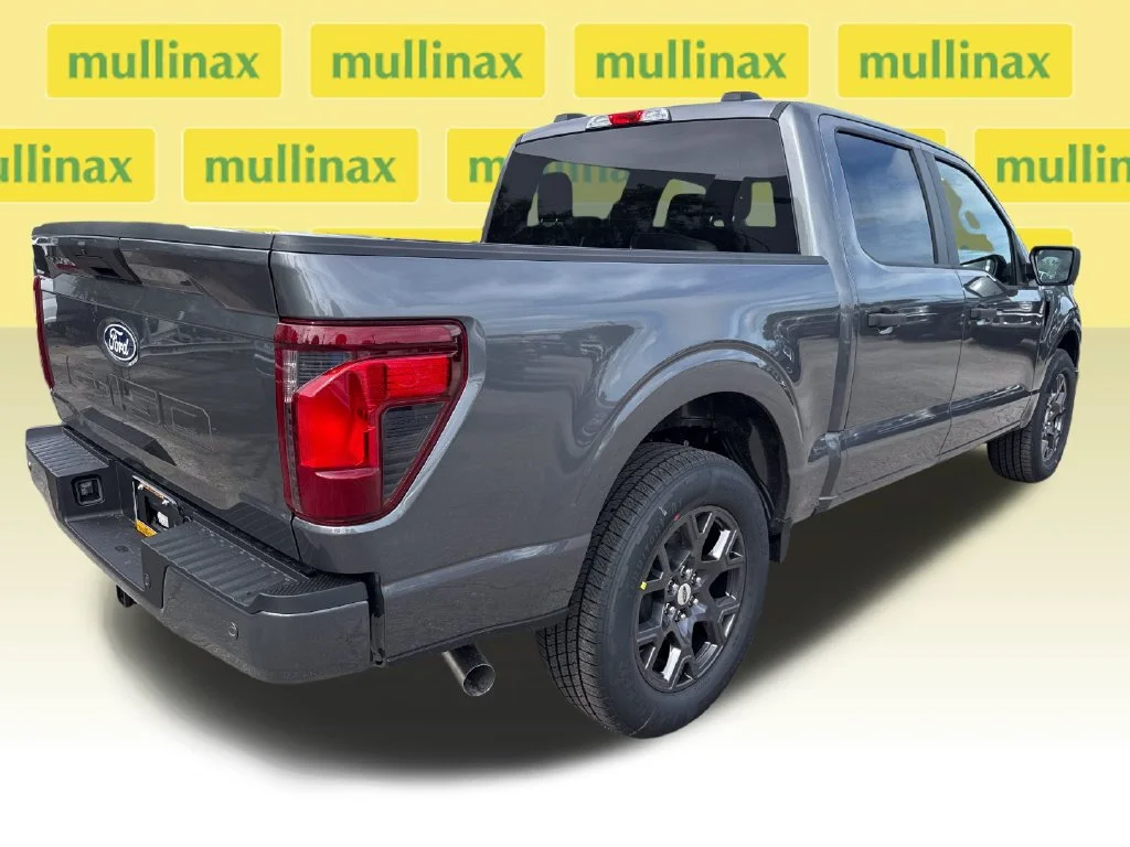New 2026 Gray Ford STX image 13
