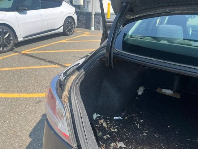 Used 2015 Super Black Nissan 2.5 S image 16