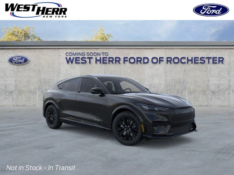 New 2026 Shadow Black Ford Premium image 1