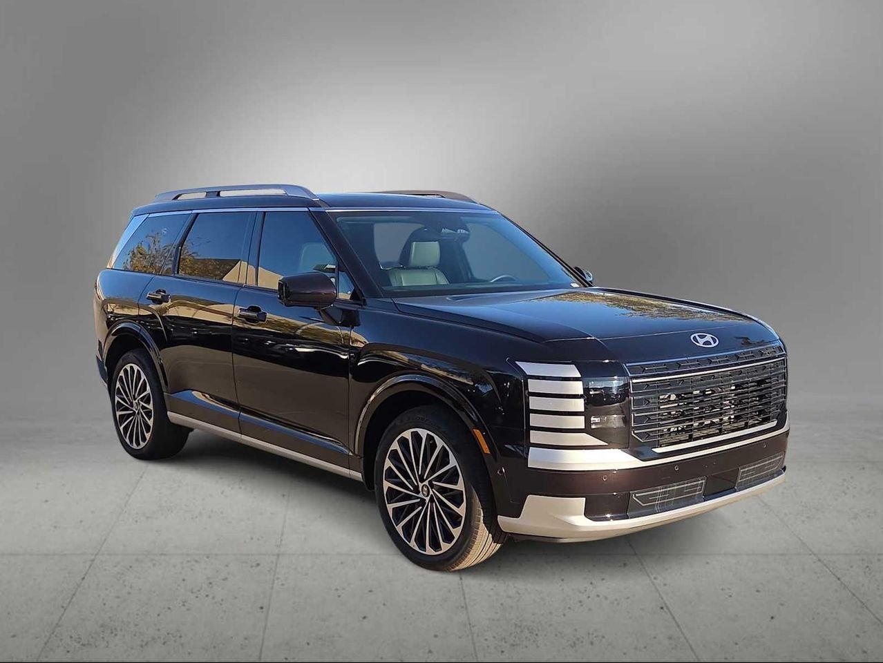 2026 Hyundai Palisade Calligraphy - Photo 2