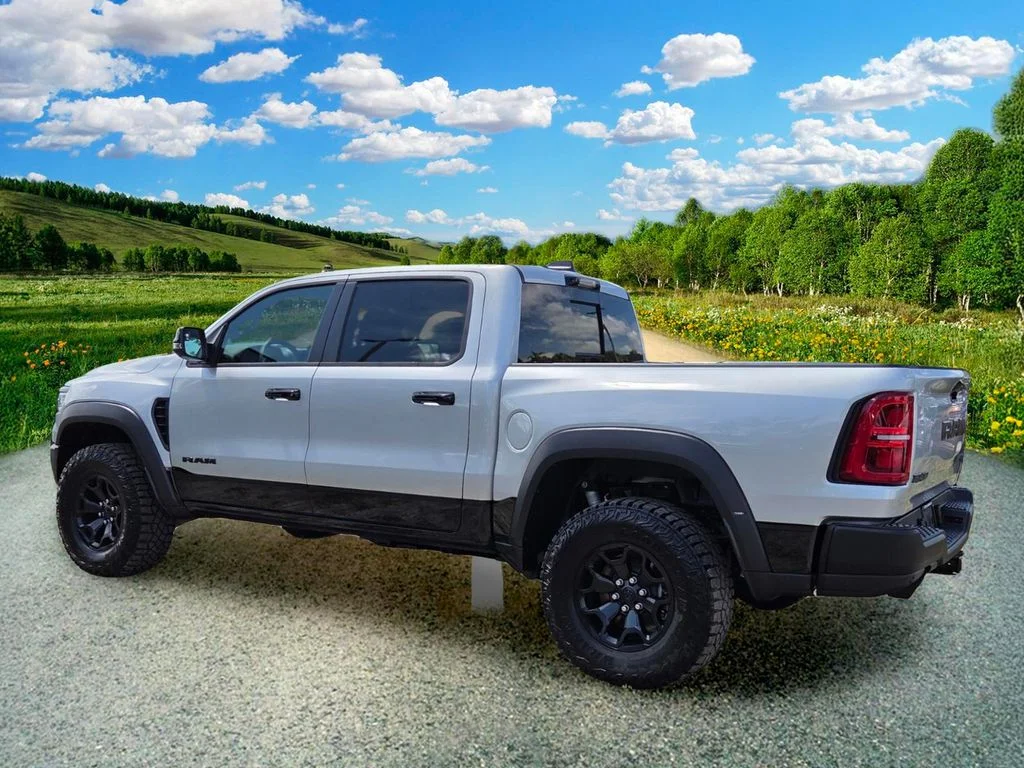 New 2026 Silver Zynith Exterior Paint RAM RHO image 4
