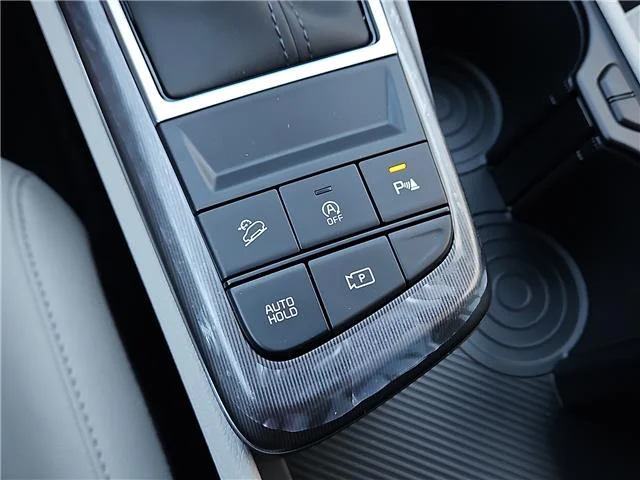 New 2027 Panthera Metal KIA EX Front-Wheel Drive image 14