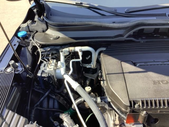 Used 2024 Black Honda Elite image 15