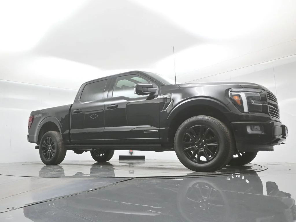 New 2025 Agate Black Metallic Ford Platinum image 47