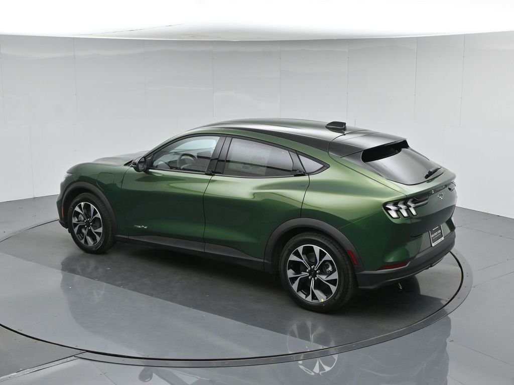 New 2026 Eruption Green Metallic Ford Select image 40
