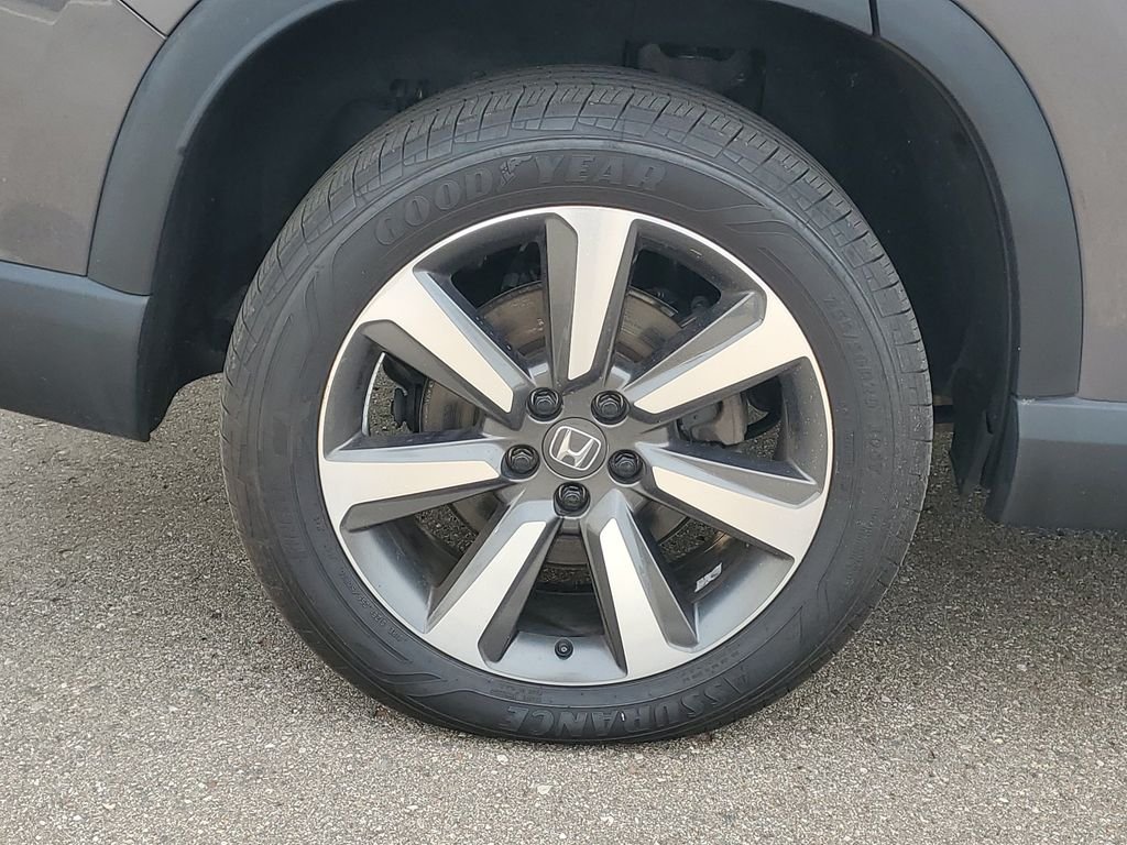 Photo 5