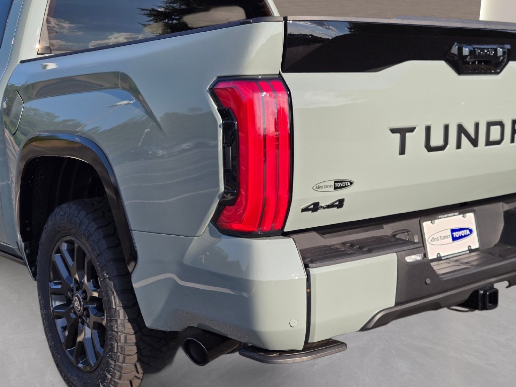 New 2026  Toyota Platinum image 10