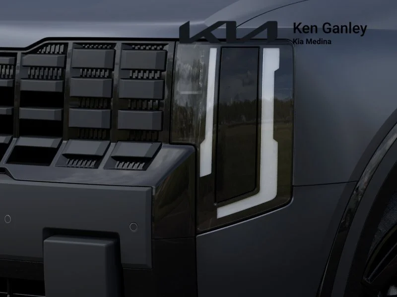 New 2027 Panthera Metal Matte Kia X-Line EX image 10