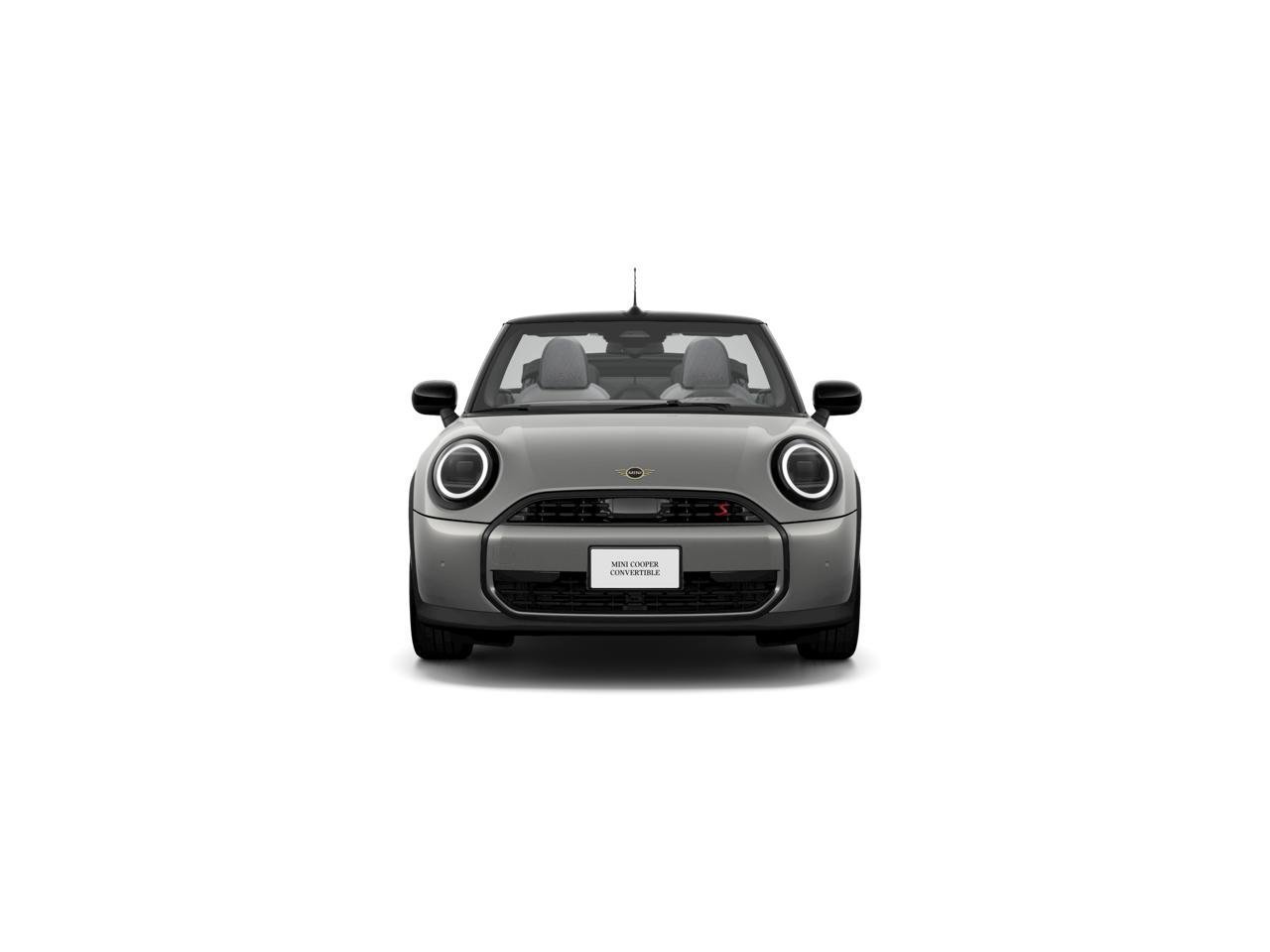 New 2026 Melting Silver III Metallic MINI Signature Plus image 2