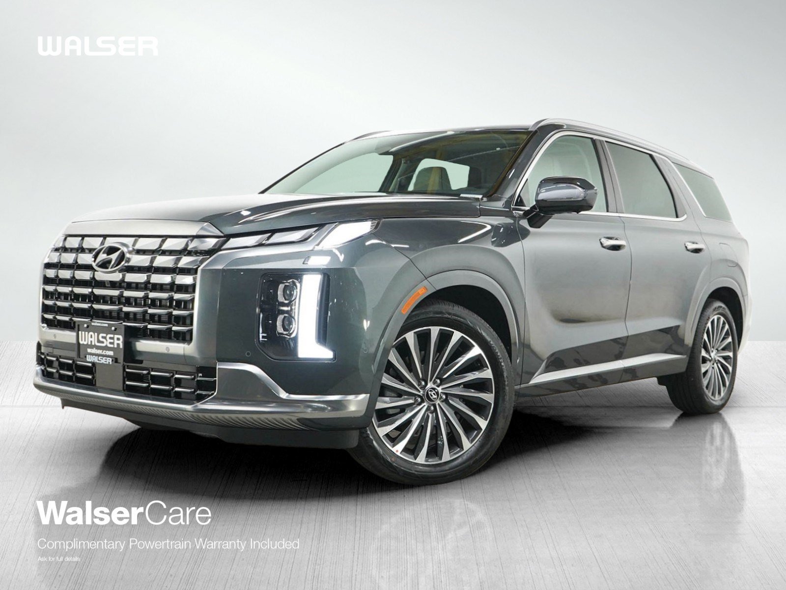 2025 Hyundai Palisade Calligraphy - Photo 1