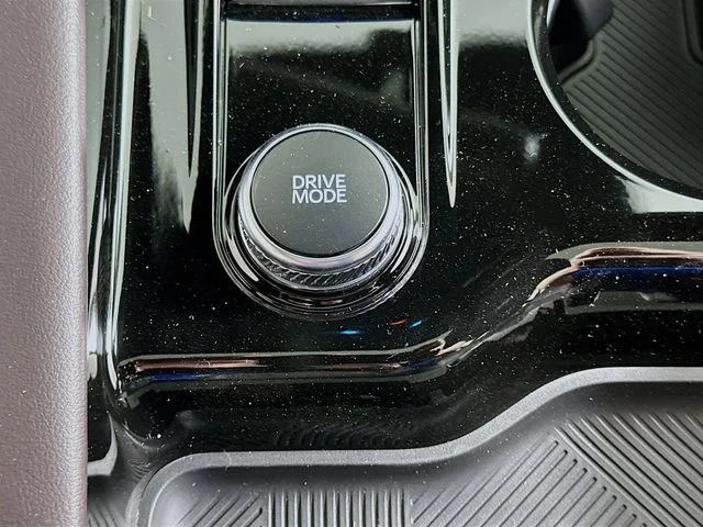 New 2026 White Ford Platinum image 21