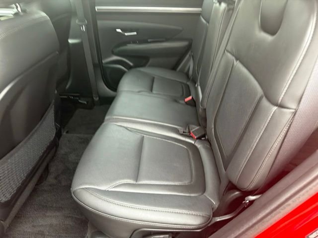 Used 2023 Red Hyundai Limited image 25