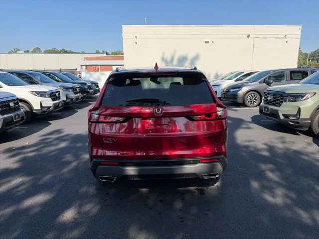 Used 2024 Radiant Red Honda Sport-L image 6