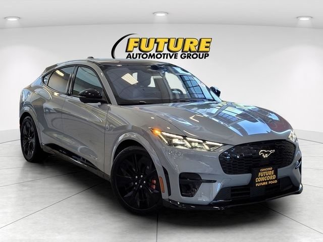2025 Ford Mustang Mach-E GT - Photo 33