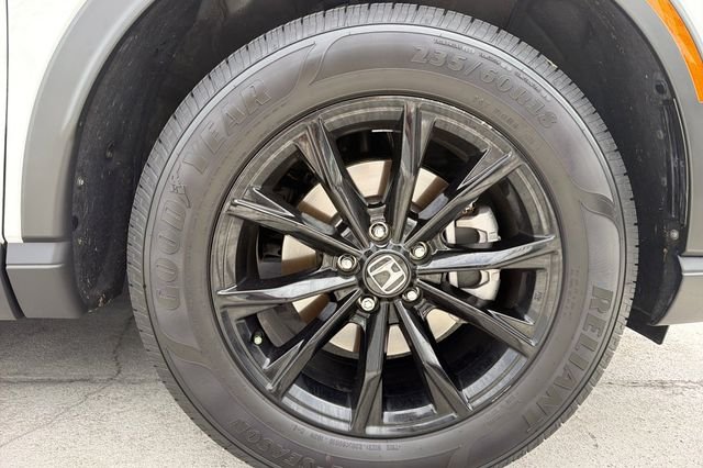 Photo 5