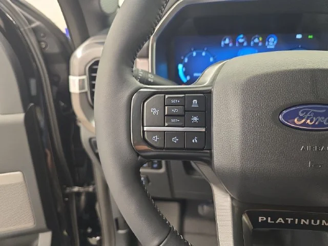 New 2026 Agate Black Metallic Ford Platinum® image 38