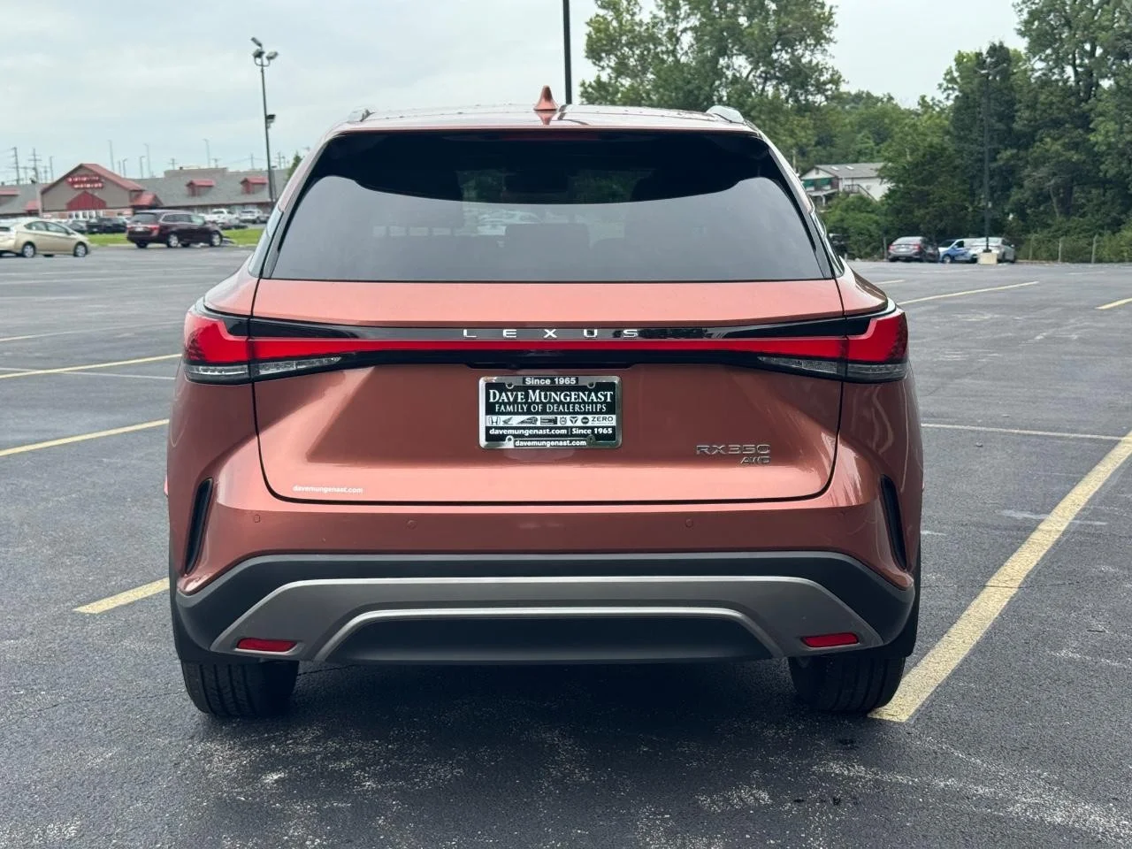 Used 2023 Copper Crest Lexus Premium image 6