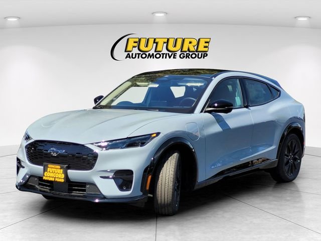 New 2025 Glacier Gray Metallic Tri-coat Ford Premium image 24