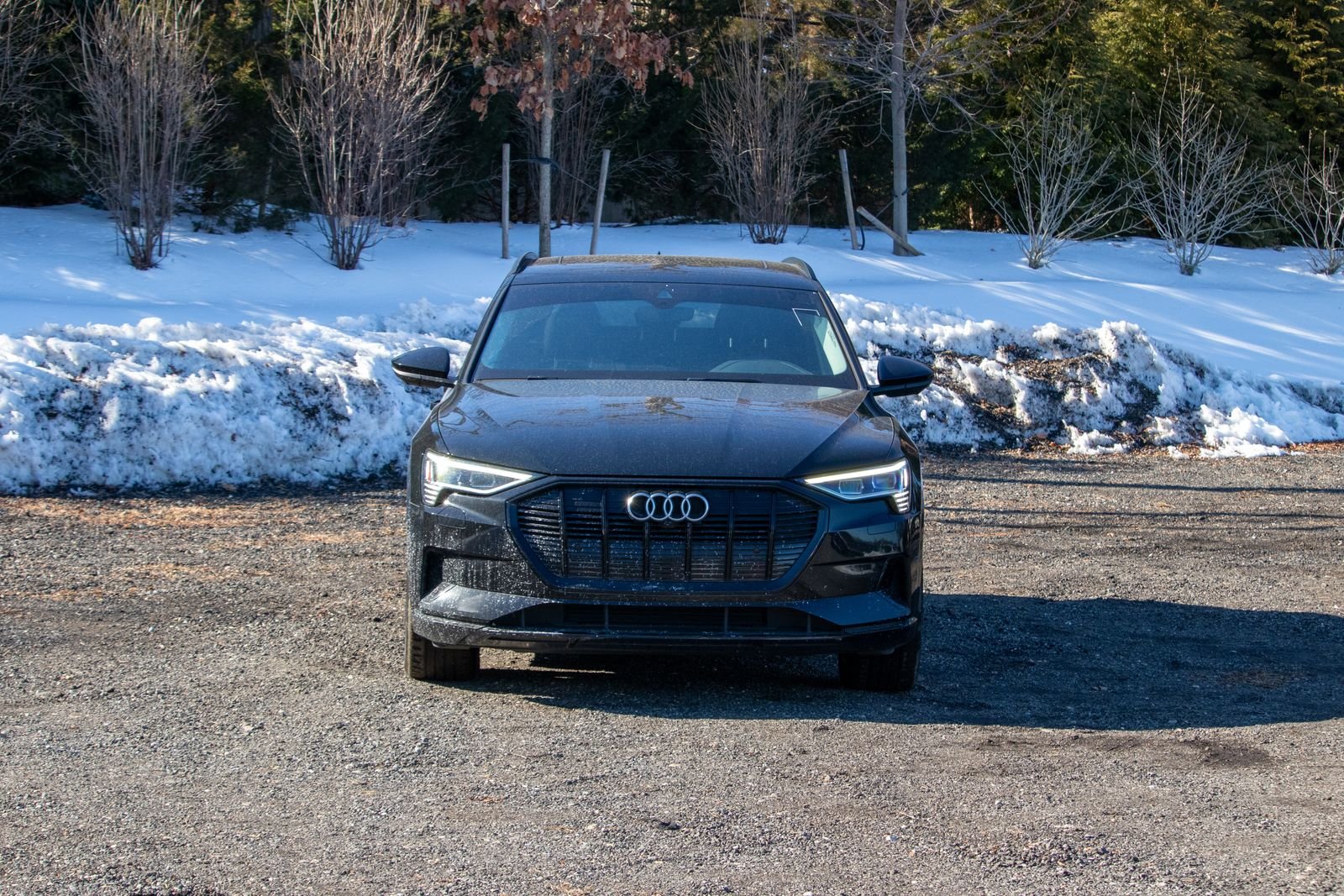 Used 2021 Audi e-tron Premium Plus with VIN WA1LAAGEXMB017121 for sale in Commack, NY