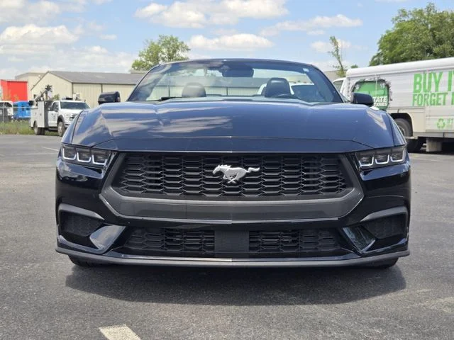 Used 2024 Black Ford EcoBoost Premium image 8