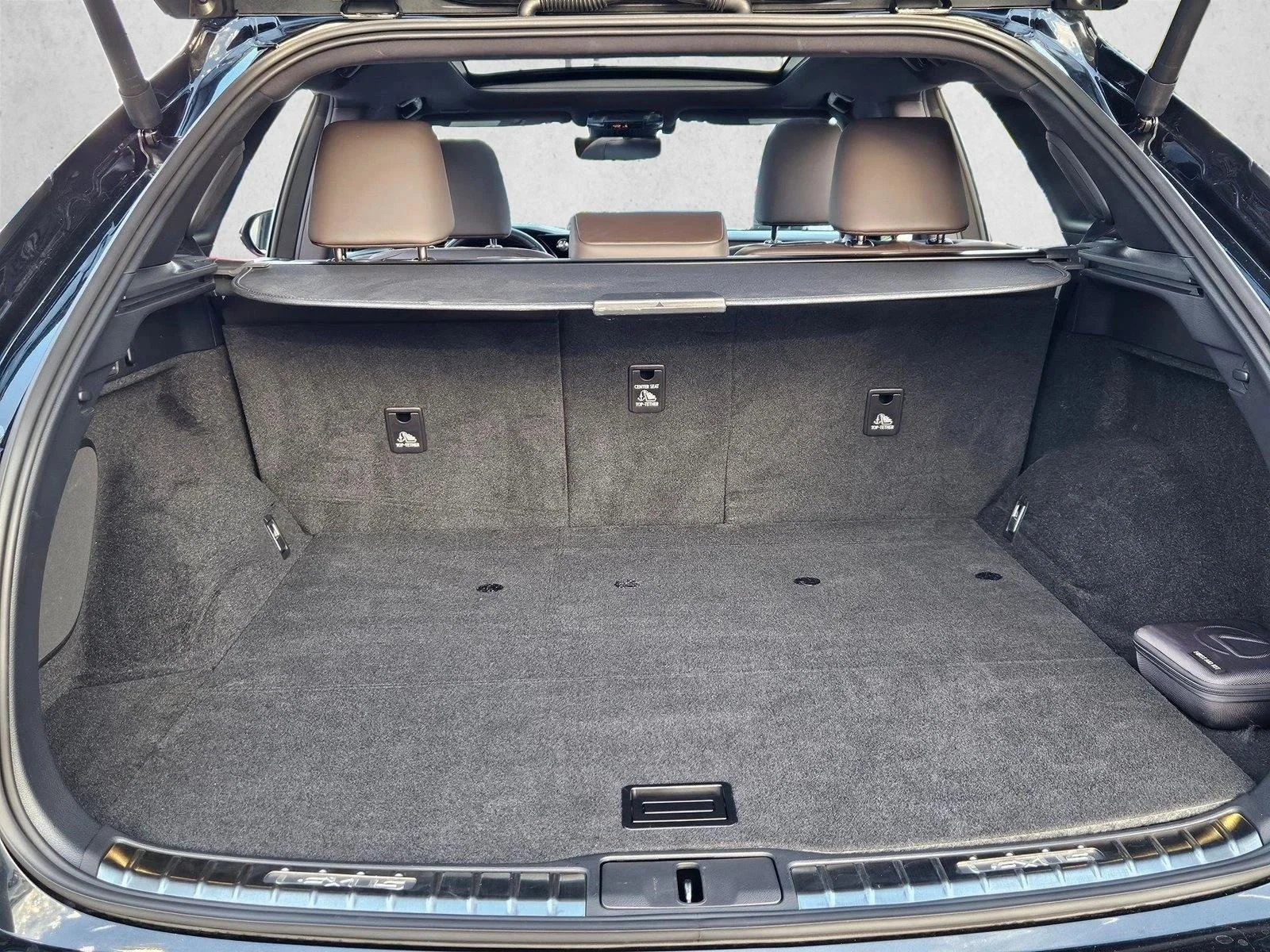 Used 2024 Caviar Lexus RX 450h+ Luxury image 6