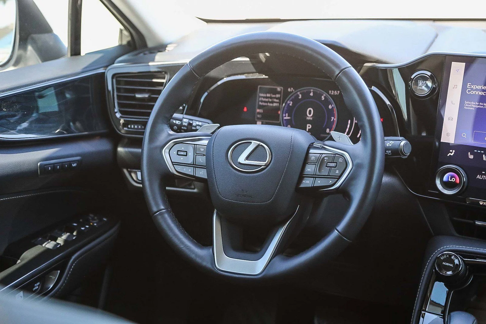 2024 Lexus NX 350 - Photo 14