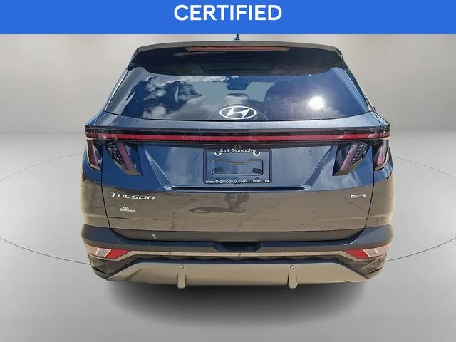 Used 2023 Gray Hyundai Limited image 9