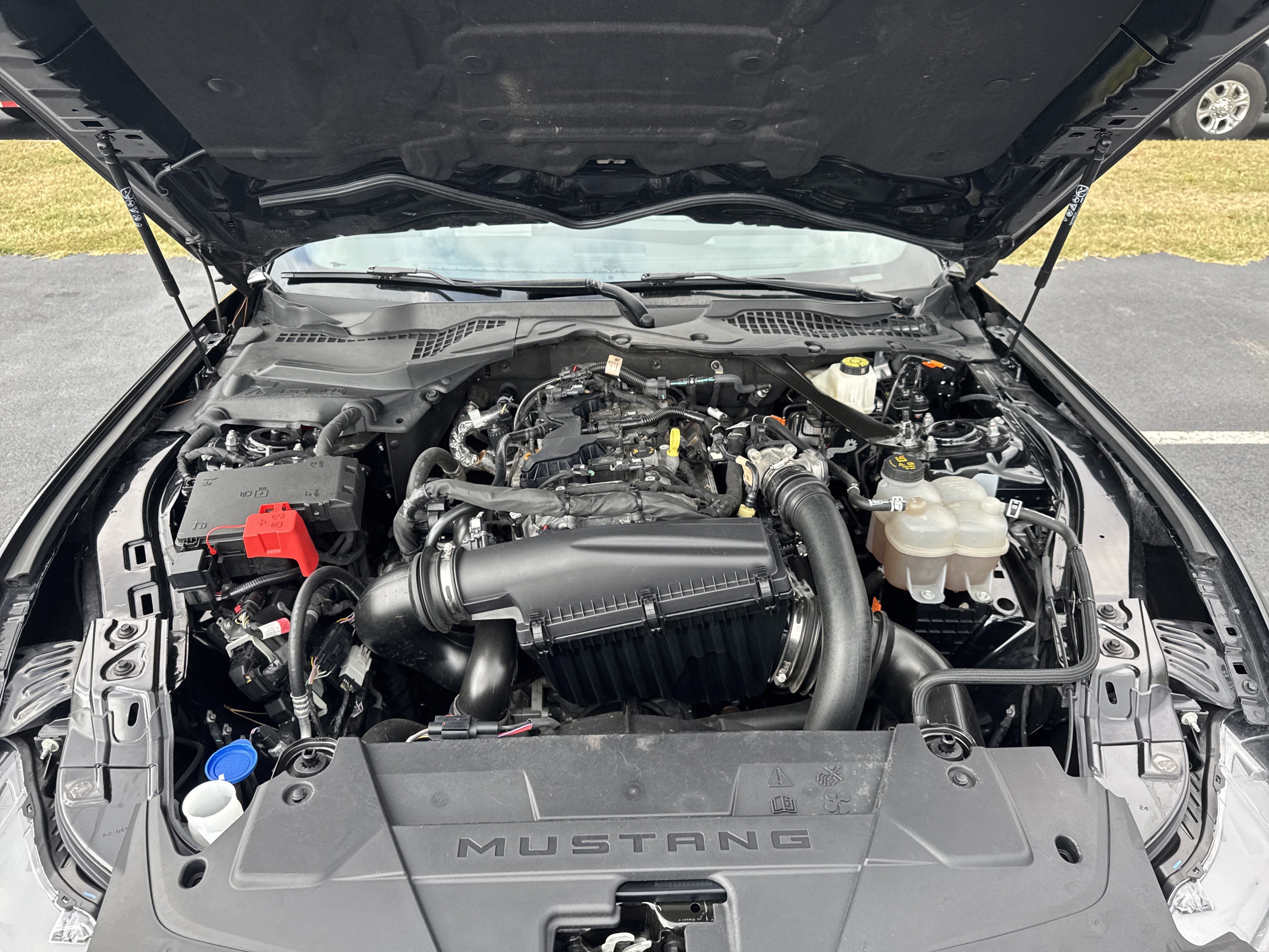 Used 2024  Ford  image 29