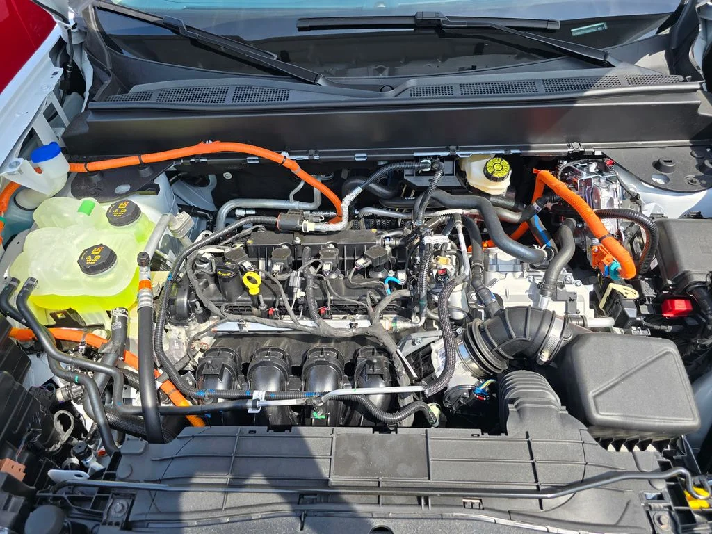 New 2026 Oxford White Ford XLT image 26
