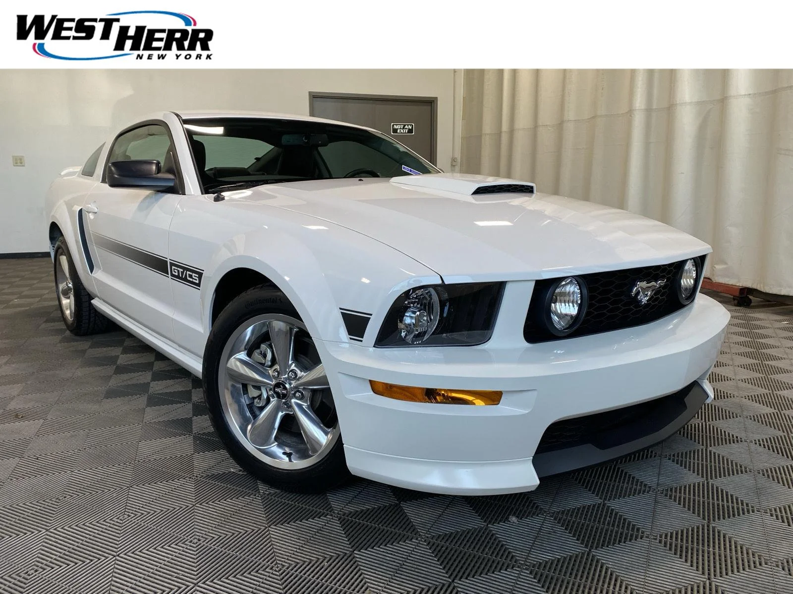 Used 2008 Performance White Clearcoat Ford GT Deluxe image 1