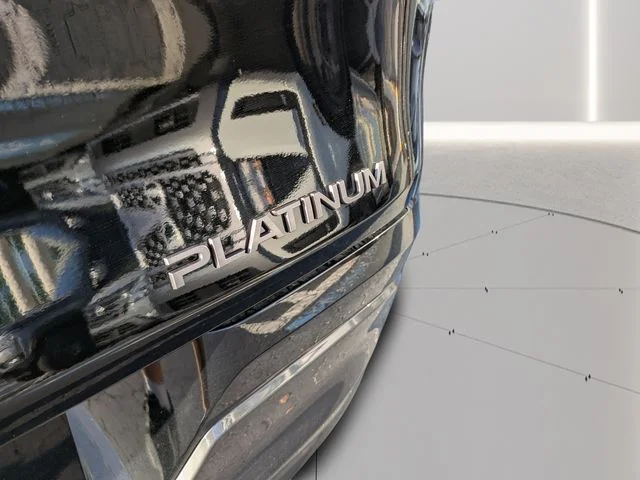 New 2026 Super Black Nissan Platinum image 10