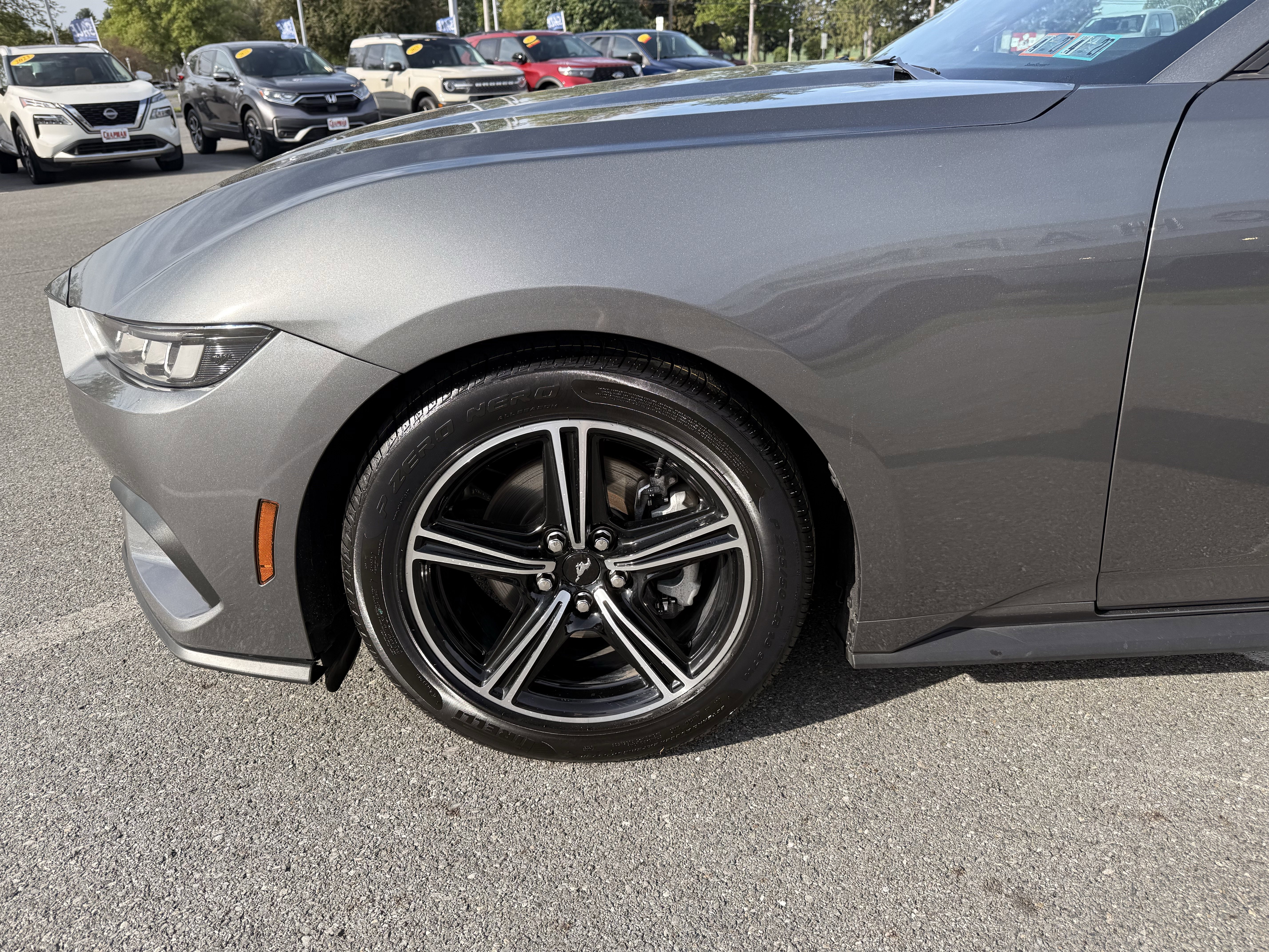 Used 2025 Gray Metallic Ford EcoBoost Premium image 36