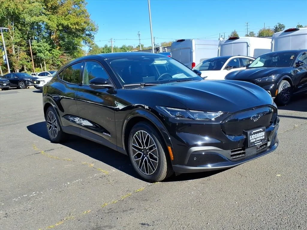2025 Ford Mustang-Mach-e Premium's photo