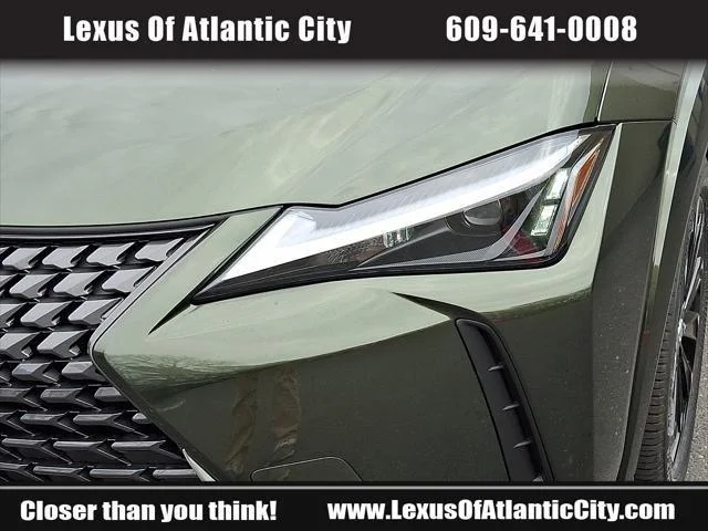 2025 Lexus UX Hybrid 300h Premium - Photo 8