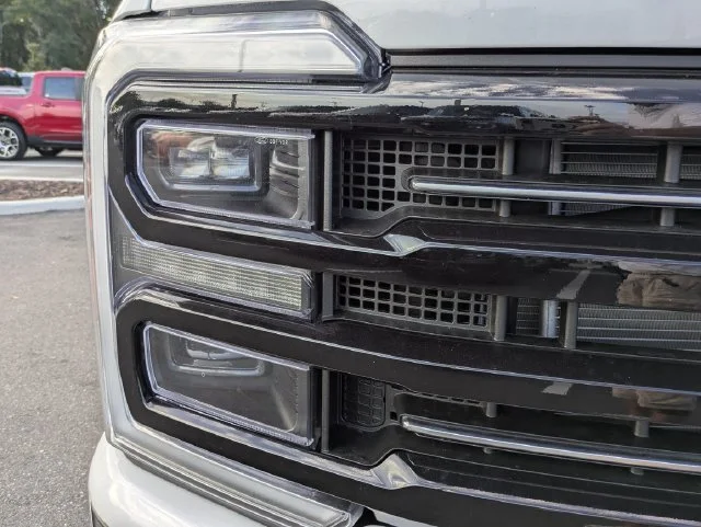 New 2027 White Ford Platinum image 10