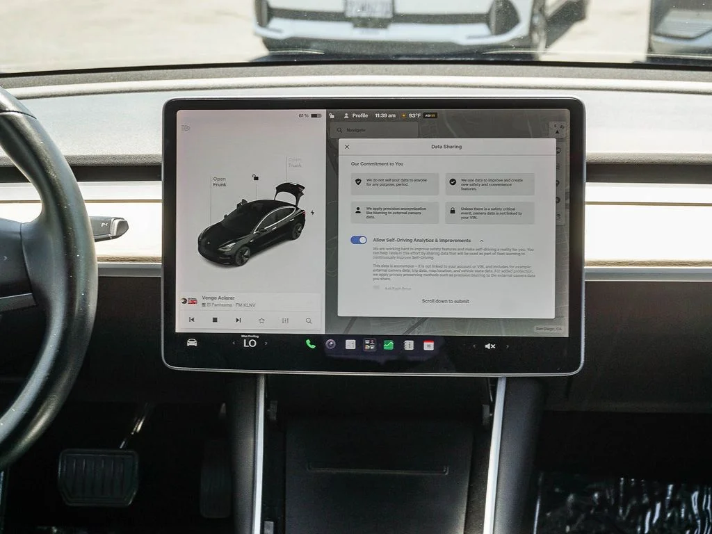 Used 2019 Black Tesla Standard Range Plus image 14